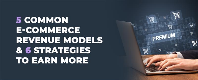 e commerce revenue models