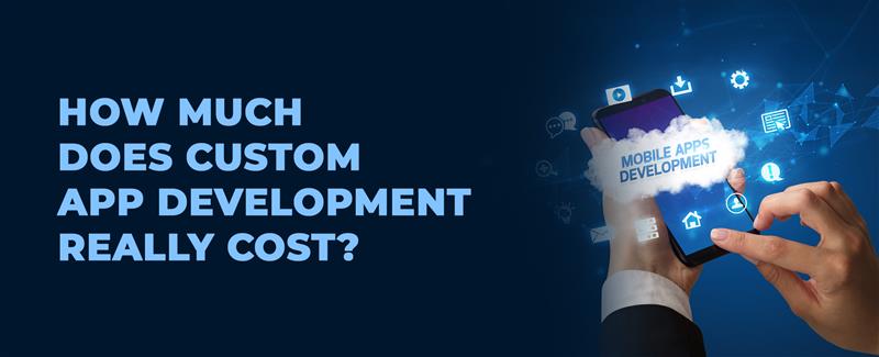 custom app development cost