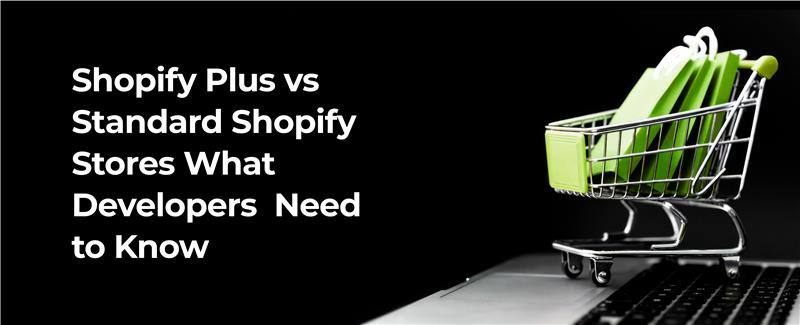 Shopify Plus vs Standard Shopify