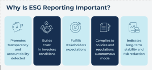 The Strategic Imperative: Why ESG Reporting is Vital for Fintech Leaders 